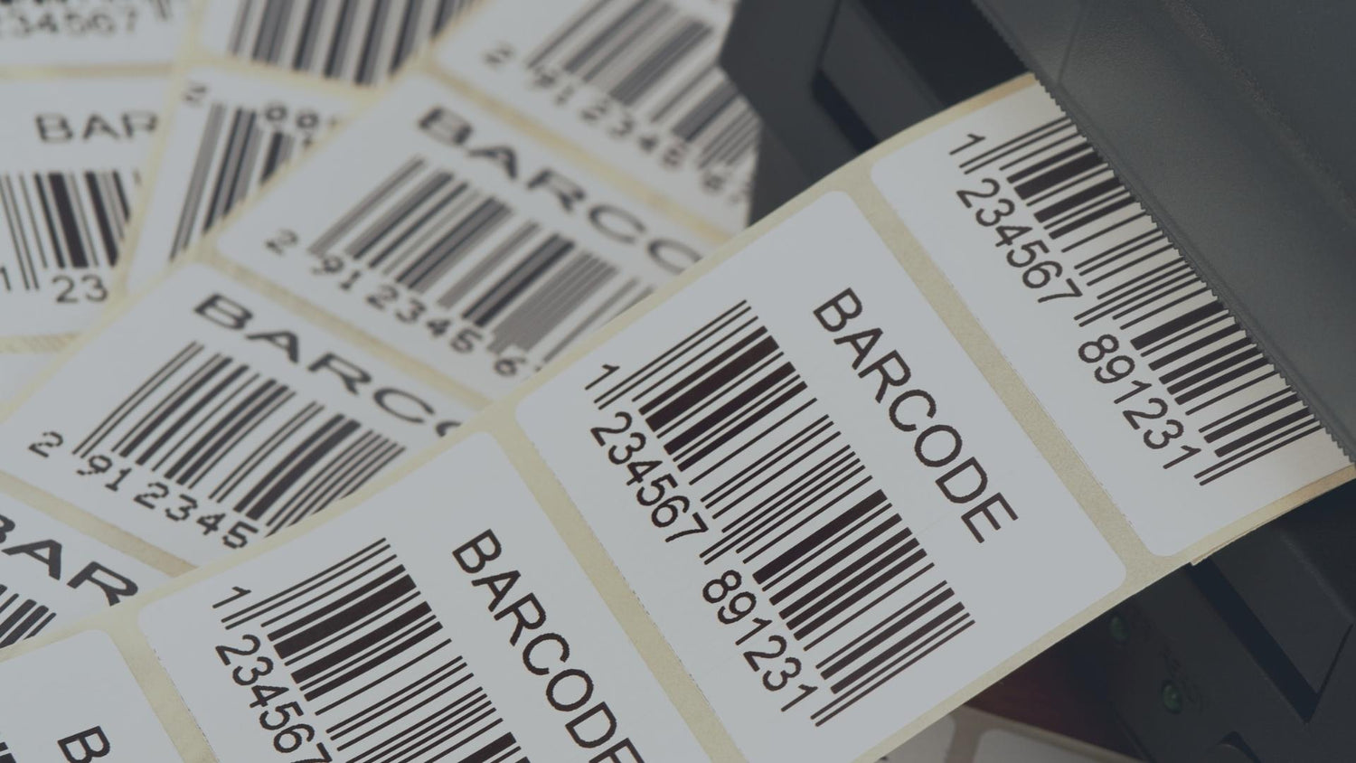 Eine Nahaufnahme von frisch gedruckten, selbstklebenden Barcode-Etiketten auf einer Trägerrolle, die gerade aus einem professionellen Etikettendrucker ausgegeben werden.